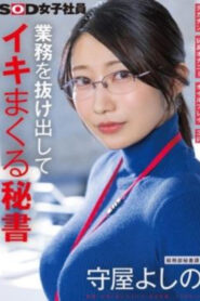 เลขาออฟฟิศสาวแว่นลองงานเอวี SDJS-312