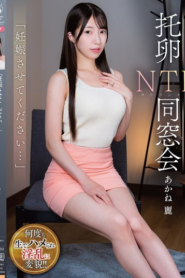 ได้โปรดทำให้ฉันท้องด้วยเถอะ APNS-400